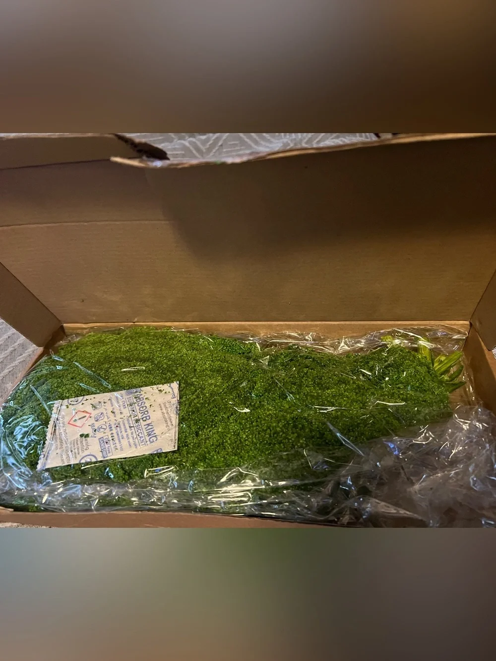 Trailing Amaranthus Faux Floral Spray - Green